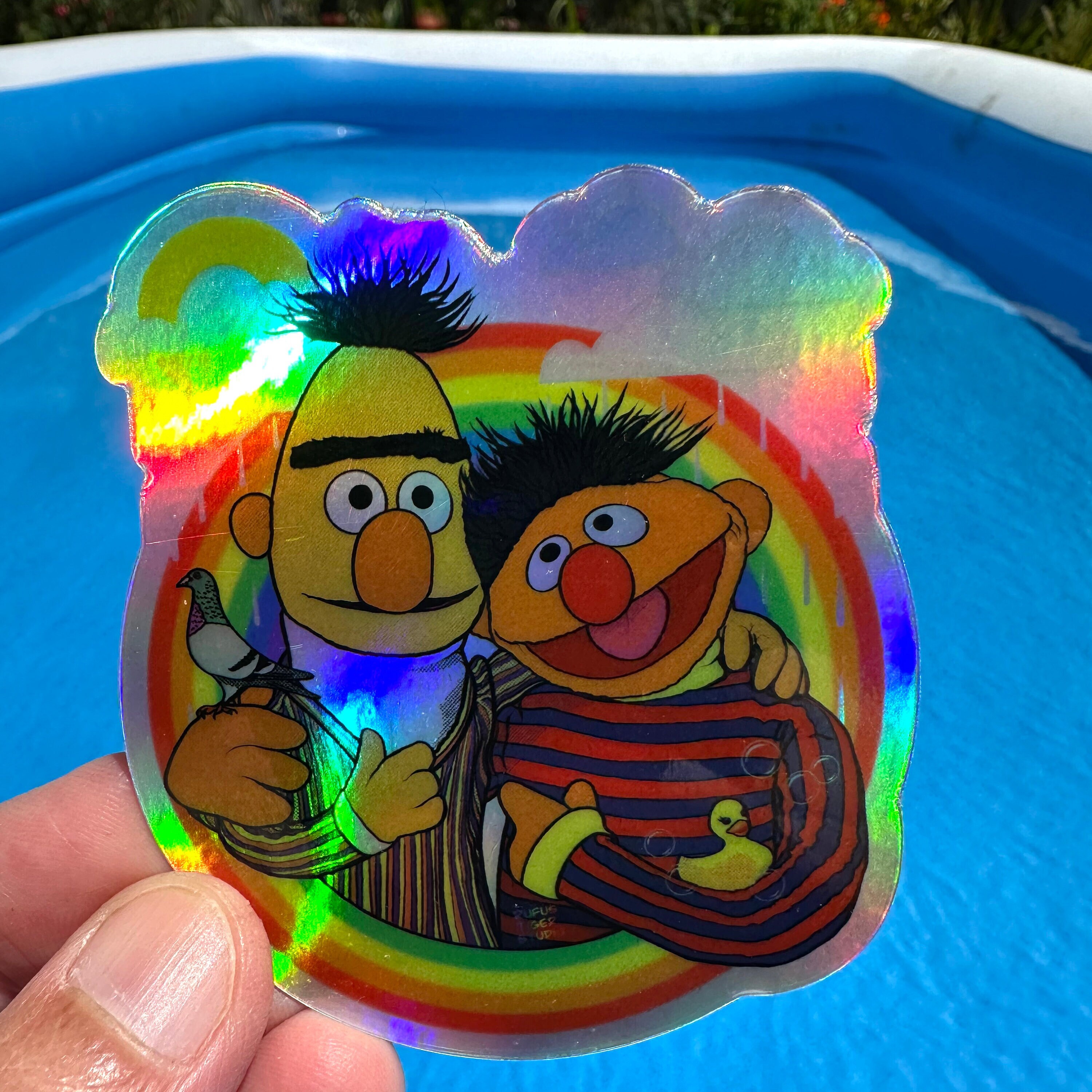 Embry Riddle Ernie Sticker Bert & Ernie Duckie Pigeon Holographic Rainbow Vinyl Sticker - Etsy