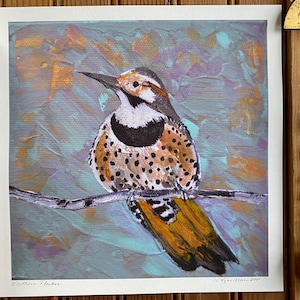 Fine Art Print Northern Flicker Bird on Birch Aspen Tree Branch Animal Colorful Painting Michigan Artist Textured 8x8 Square Artwork Gold
