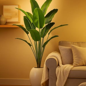 Könnte beinhalten: Eine große, künstliche Pflanze mit breiten, grünen Blättern in einem weißen, abgerundeten Topf. Die Pflanze steht neben einem beigen Sofa mit Kissen und einer Decke. Der Raum hat eine warme Beleuchtung und eine gemütliche Atmosphäre.