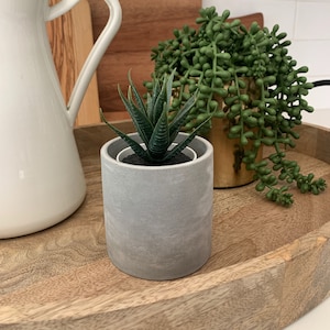 May include: A wooden tray with two potted plants. One plant is a succulent in a gold pot, and the other is a green plant in a gray concrete pot.