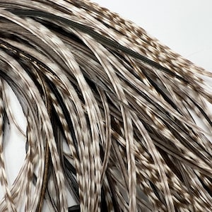 CHOOSE YOUR LENGTH Black and White Grizzly Variant Feather Hair Extensions - Real, Natural, Bohemian Hair Accessory