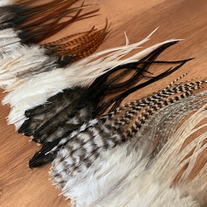 Kurze Hahn Haarverlängerung Federn: Natürliche Farben, Grizzly Saddle Hackle -Bulk Craft