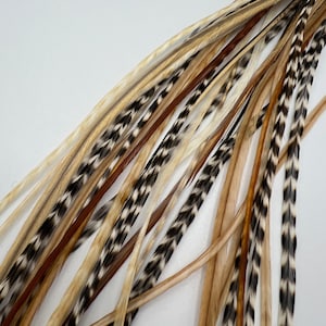 10 Natural Earthy Color Mix, Combo Set of Feather Hair Extensions - Real, Natural, Bohemian Hair Accessory