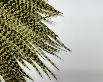 Könnte beinhalten: Ein Bund gelber und schwarzer Federn mit einem Chevron-Muster. Die Federn sind fächerförmig angeordnet.