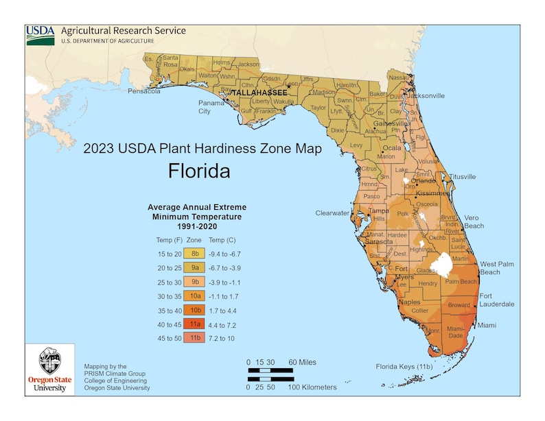 Może przedstawiać: Mapa stref mrozoodporności roślin USDA 2023 Florydy, pokazująca średnie roczne ekstremalne temperatury minimalne z lat 1991-2020. Mapa wykorzystuje gradient kolor&oacute;w do wskazania stref.