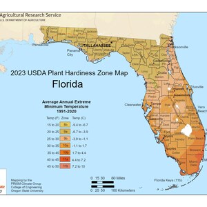 May include: A 2023 USDA Plant Hardiness Zone Map of Florida, showing average annual extreme minimum temperatures from 1991-2020. The map uses a color gradient to indicate zones, with text labels for cities and temperature ranges in Fahrenheit and Celsius.