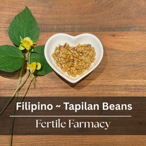 May include: A heart-shaped white bowl filled with tan Tapilan beans sits on a wooden surface, next to green leaves and yellow flowers. The text "Filipino ~ Tapilan Beans" and "Fertile Farmacy" are displayed below the bowl.