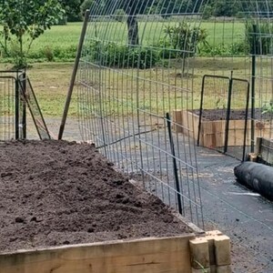 May include: A raised garden bed filled with dark soil, framed by wooden planks. A metal trellis arches over the bed, with additional beds and fencing in the background. The scene is set outdoors, with greenery and a sunny sky.
