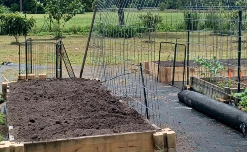 May include: A raised garden bed filled with dark soil, framed by wooden planks. A metal trellis arches over the bed, with additional beds and fencing in the background. The scene is set outdoors, with greenery and a sunny sky.