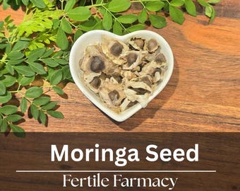 Moringa Seeds (Grow Your Own Tree) | Drought Tolerant Superfood Plant | Florida Grown