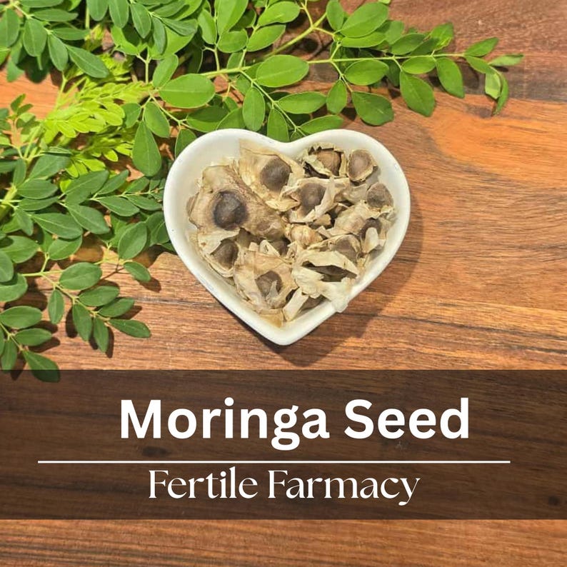 Moringa seeds in a heart-shaped white bowl, surrounded by green moringa leaves, sit on a dark wooden surface. The seeds are light brown with a textured appearance. Text at the bottom reads 'Moringa Seed' above 'Fertile Farmacy' in a white font.