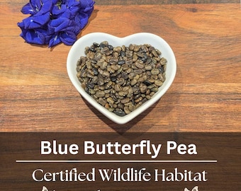 Butterfly Pea Seeds | Blue Tea ~ Edible Flowers ~ Florida Grown & Licensed (Clitoria Ternatea)