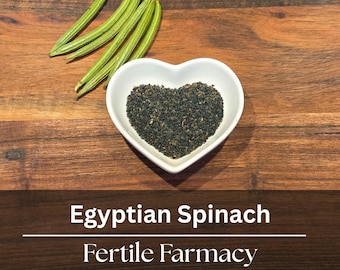 Molokhia Seeds | Egyptian Spinach | Caribbean Garden Seed | Heat Tolerant Summer Vegetable | Florida Grown ~ 100 Seeds