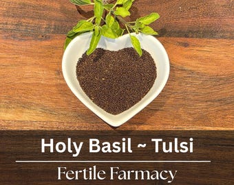 Tulsi (Holy Basil) Seeds | Sacred Basil | Ocimum tenuiflorum | Heirloom Non GMO Herb | Florida Grown 50 Seeds