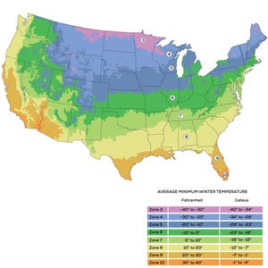 May include: A colorful map of the United States, showing plant hardiness zones based on average minimum winter temperatures. Zones are color-coded, ranging from pink to orange, with a corresponding temperature chart in Fahrenheit and Celsius.