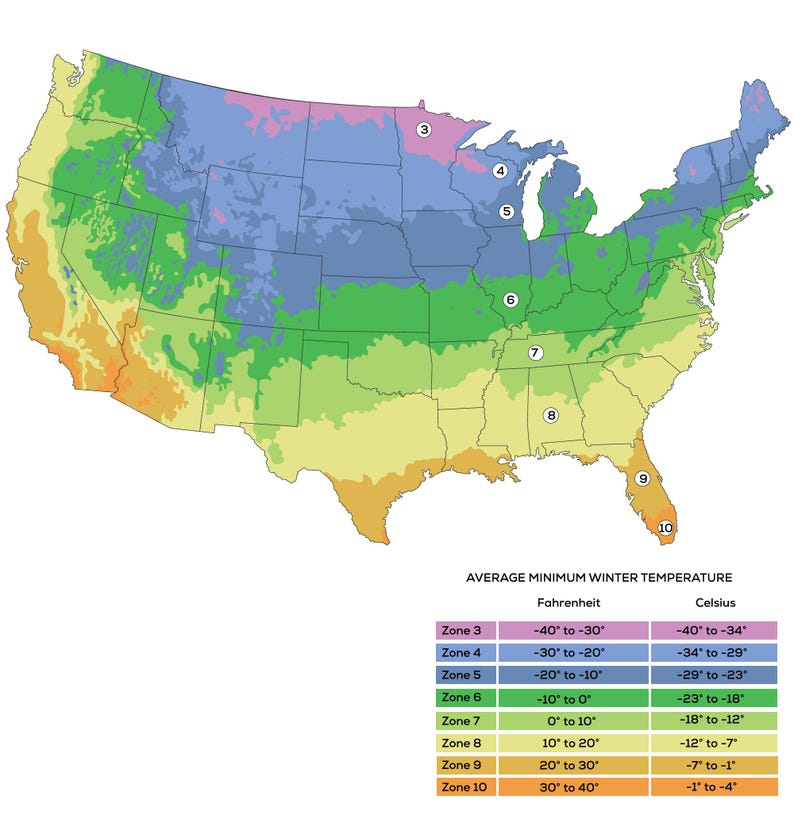 May include: A colorful map of the United States, showing plant hardiness zones based on average minimum winter temperatures. Zones are color-coded, ranging from pink to orange, with a corresponding temperature chart in Fahrenheit and Celsius.