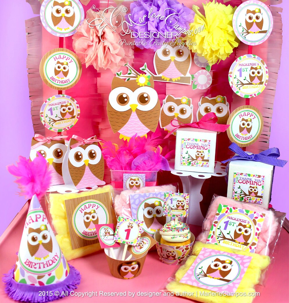 Owl Girl Birthday Owl 1st Birthday Owl Baby Shower Party Etsy