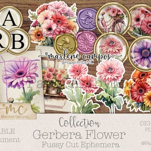 Junk Journal, Fussy Cut, Gerbera Daisy, Fiori, Ephemera, Abbellimento, Inserti, Junk Journal Ephemera, Album, Stampabile