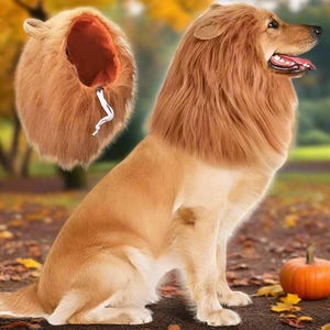Costume Criniera Leone Per Cani - Parrucca Realistica Con Coda Taglia Media/Grande