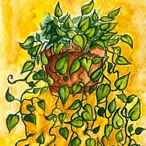 May include: Watercolor painting of a potted plant with trailing vines and heart-shaped leaves. The pot is brown, and the background is a warm yellow. The leaves are green, and the overall effect is a vibrant, naturalistic image.