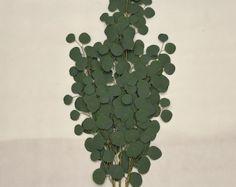 May include: A sprig of faux eucalyptus with round, dark green leaves. The stem is a light brown color. The leaves are arranged in a natural pattern, creating a full and textured appearance. This artificial plant is suitable for home decor.