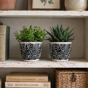 May include: Two potted plants with green foliage sit on a white shelf. The black and white patterned pots have a scalloped design. Books and a woven basket are also on the shelf, creating a rustic, decorative display.