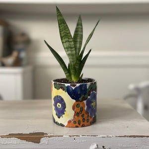 May include: A small snake plant in a cylindrical ceramic pot. The plant has long, green and grey striped leaves. The pot is decorated with colourful, abstract floral designs in yellow, blue, orange, and purple. The pot sits on a distressed white table.