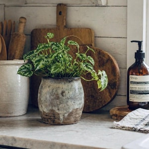 Maceta de gres vintage en tonos tierra / Maceta de cerámica rústica neutra / Decoración del hogar Wabi Sabi / Maceta pequeña de interior / Estilo campestre francés / Japandi