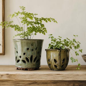 May include: Two glazed ceramic planters in shades of sage and olive green. The larger planter features circular and petal-shaped cutouts, while the smaller one has vertical petal-shaped cutouts. Both contain small green leafy plants.