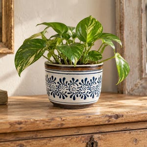 May include: A ceramic plant pot with a white base and a dark blue floral vine pattern encircling the exterior. The rim and base are finished in a dark brown glaze. A green and yellow variegated pothos plant grows from the pot.