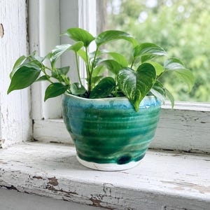 May include: A green plant in a handmade ceramic pot. The pot has a textured, layered design with green and blue hues, and a white base. The plant has lush, green leaves, creating a fresh, natural aesthetic. The pot is on a white window sill.