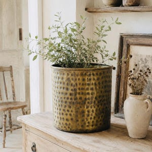 Peut inclure: Un cache-pot cylindrique en laiton présentant une texture martelée et alvéolée sur sa surface extérieure. Le cache-pot contient une plante verte feuillue aux tiges fines et aux petites feuilles, créant un contraste naturel avec la finition dorée.