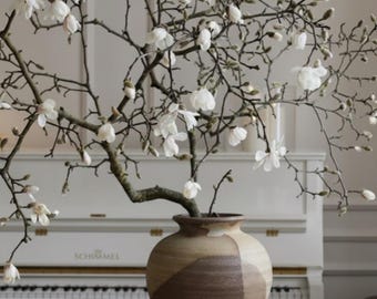 May include: A decorative arrangement featuring a vase with a magnolia branch. The vase is two-toned, brown and beige. White magnolia blossoms and buds are visible. A piano is in the background.