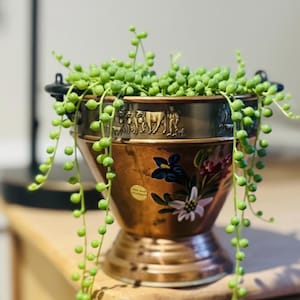 May include: A copper-colored planter with a decorative rim and floral accents, holding a string of pearls plant. The planter has a pedestal base and a detailed design around the top. The plant's green, pearl-like leaves cascade down.