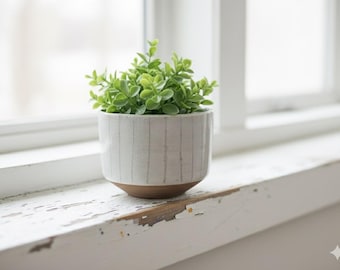 以下が含まれることがあります： 小さなセラミック製の植木鉢に緑色の植物が入っています。植木鉢は白で、垂直の灰色の線と茶色のベースがあります。植物は小さくて丸い緑色の葉をしています。植木鉢は白い窓枠の上に置かれています。