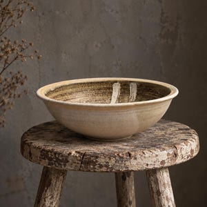 May include: A shallow ceramic bowl with a wide rim, featuring a cream-coloured exterior and a dark, mottled interior with two vertical white brushstroke patterns. The bowl has a smooth, rounded shape and a neutral, earthy colour palette throughout.
