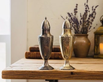 Salero y pimentero vintage plateados — Urna estilo art déco ornamentada (329 g, 5")