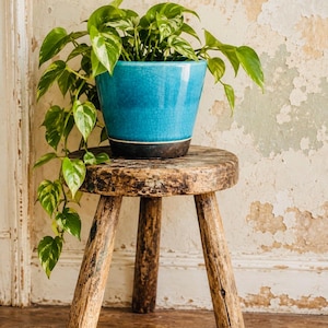 Peut inclure: Un pot de fleurs en céramique turquoise vif avec une finition émaillée craquelée et une base brun foncé, contenant une plante pothos retombante aux feuilles en forme de cœur panachées de vert et de crème, posé sur un petit tabouret en bois.