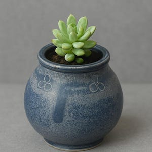 May include: A small, round, blue ceramic pot with a light green succulent plant. The pot has a speckled texture and a decorative design. The succulent has multiple green leaves. The pot is approximately 10 cm in diameter.