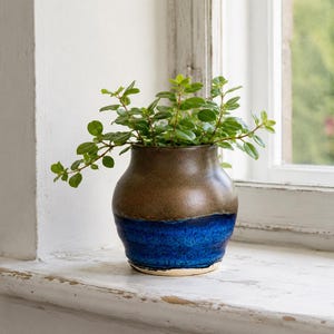 May include: A ceramic planter with a rounded body featuring a two-tone glaze. The upper portion is a muted earthy brown, while the lower section is a vibrant, deep cobalt blue. A small green leafy plant with multiple stems grows from the opening.