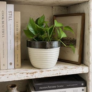Peut inclure: Un pot de fleurs en céramique bicolore avec une base blanche côtelée et un rebord gris anthracite lisse, contenant une plante pothos vert vif aux feuilles tombantes, placé sur une étagère entre plusieurs livres et une image encadrée.