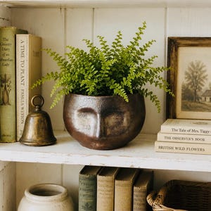 May include: A dark bronze-toned ceramic planter shaped like a human face, featuring a smooth, rounded silhouette and a textured finish. The planter holds a vibrant green fern plant with delicate, feathery fronds that spill over the top edges.