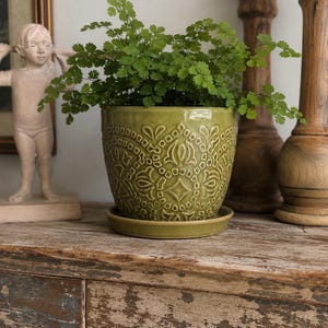 May include: A light green ceramic plant pot with a raised, intricate geometric pattern and a matching saucer. The pot contains a lush, vibrant green fern with delicate, small leaves, creating a textured appearance against the embossed surface.