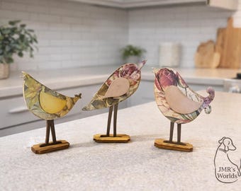 Cardinals.Birds Worlds