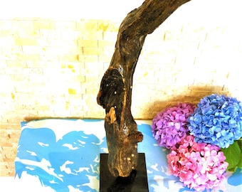 Handmade Driftwood Sculpture: Rustic Coastal Wall Art, Nautical Home Decor.
