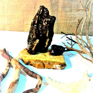 One of a Kind Driftwood Sculpture, Eco-Friendly Natural Wood Art for Nature Inspired Nautical, Coastal Home Decoration.