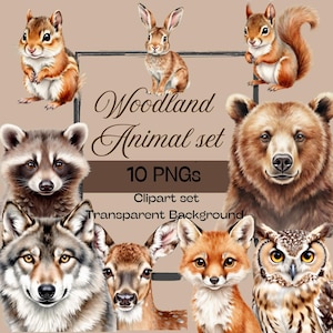 Woodland Animal Clipart Set: Forest Creatures PNGs (Digital Download