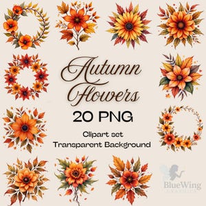 Autumn Flowers Clipart Set – 20 PNG | Fall Floral Elements | Digital Download | Transparent Background
