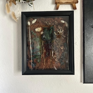 Black Scorpion Framed