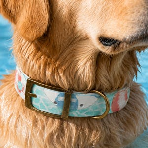 May include: A close-up of a dog wearing a patterned collar. The collar features a light blue and white design with red accents, and a brass-colored buckle and ring. The dog has light brown fur and is in water.